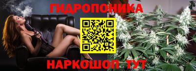стафф Нальчик