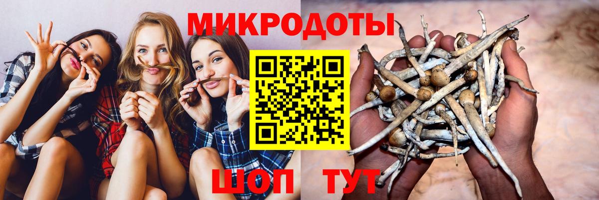 Псилоцибиновые грибы Magic Shrooms Тихорецк