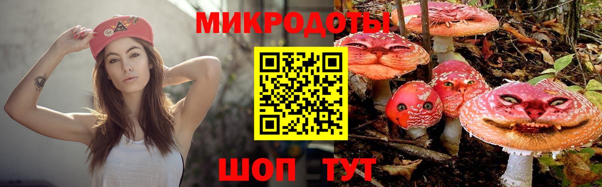 Псилоцибиновые грибы MAGIC MUSHROOMS  Вход с VPN  Тихорецк  Галлюциногенные грибы мухоморы 