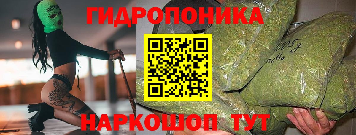 Каннабис план  Бошки марихуана Bruce Banner  Тихорецк  Вход с VPN 
